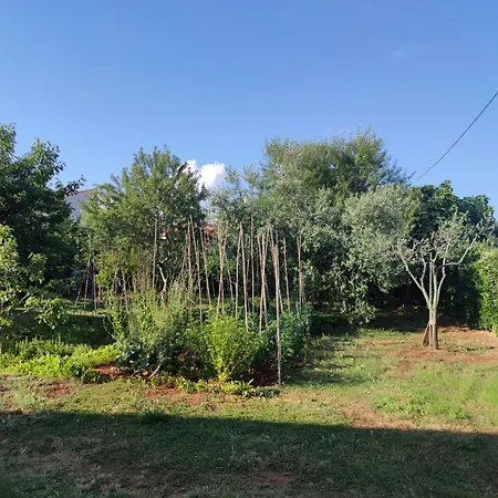 Apartment Spacious With Parking&garden *