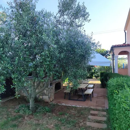 Spacious With Parking&garden Appartement