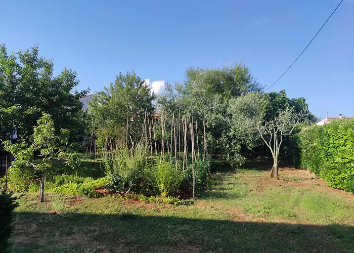 Apartament Spacious With Parking&garden *